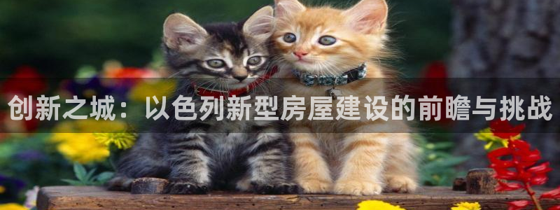 先锋娱乐剪辑：创新之城：以色列新型房屋建设的前瞻与挑战