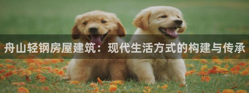 先锋娱乐账号注册不了：舟山轻钢房屋建筑：现代生活方式的构建与传承