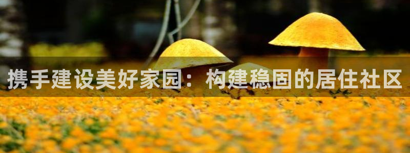 先锋互动娱乐：携手建设美好家园：构建稳固的居住社区