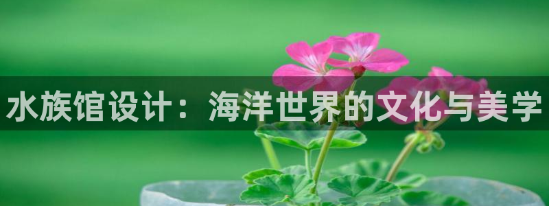 威斯汀娱乐先锋：水族馆设计：海洋世界的文化与美学