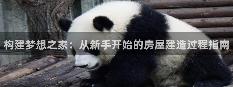 先锋娱乐体育：构建梦想之家：从新手开始的房屋建造过程指南