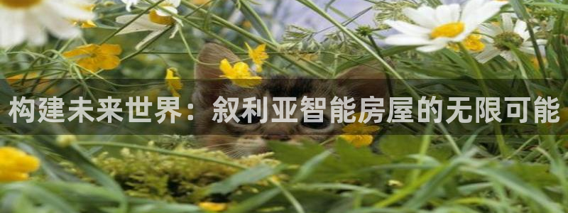 先锋娱乐网：构建未来世界：叙利亚智能房屋的无限可能