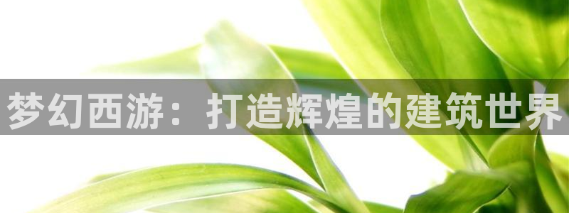 先锋澳门新娱乐：梦幻西游：打造辉煌的建筑世界