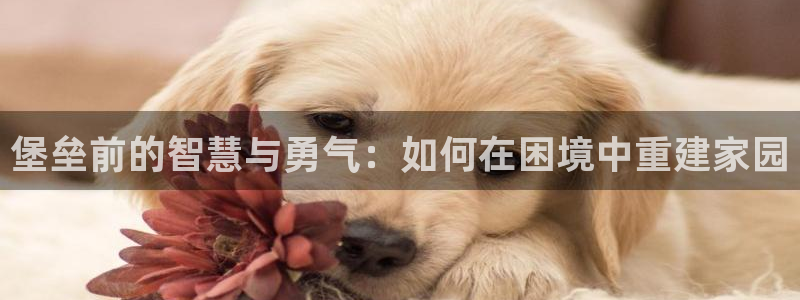 先锋娱乐汇：堡垒前的智慧与勇气：如何在困境中重建家园