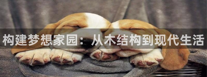 先锋娱乐公司正规吗吗：构建梦想家园：从木结构到现代生活
