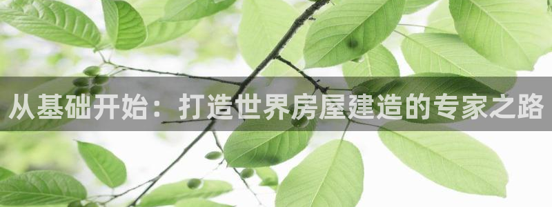 先锋娱乐游戏上分网址：从基础开始：打造世界房屋建造的专家之路