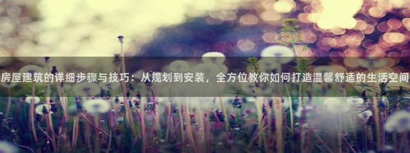 先锋娱乐传媒：房屋建筑的详细步骤与技巧：从规划到安装，全方位教你如何打造温馨舒适的生活空间