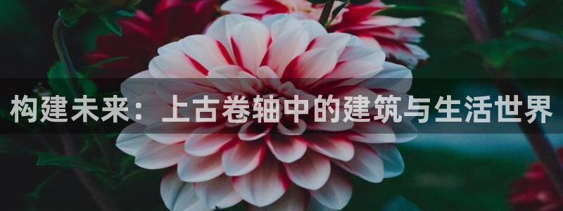 先锋互动娱乐：构建未来：上古卷轴中的建筑与生活世界