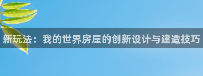 先锋互动娱乐：新玩法：我的世界房屋的创新设计与建造技巧