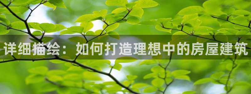 威斯汀娱乐先锋：详细描绘：如何打造理想中的房屋建筑